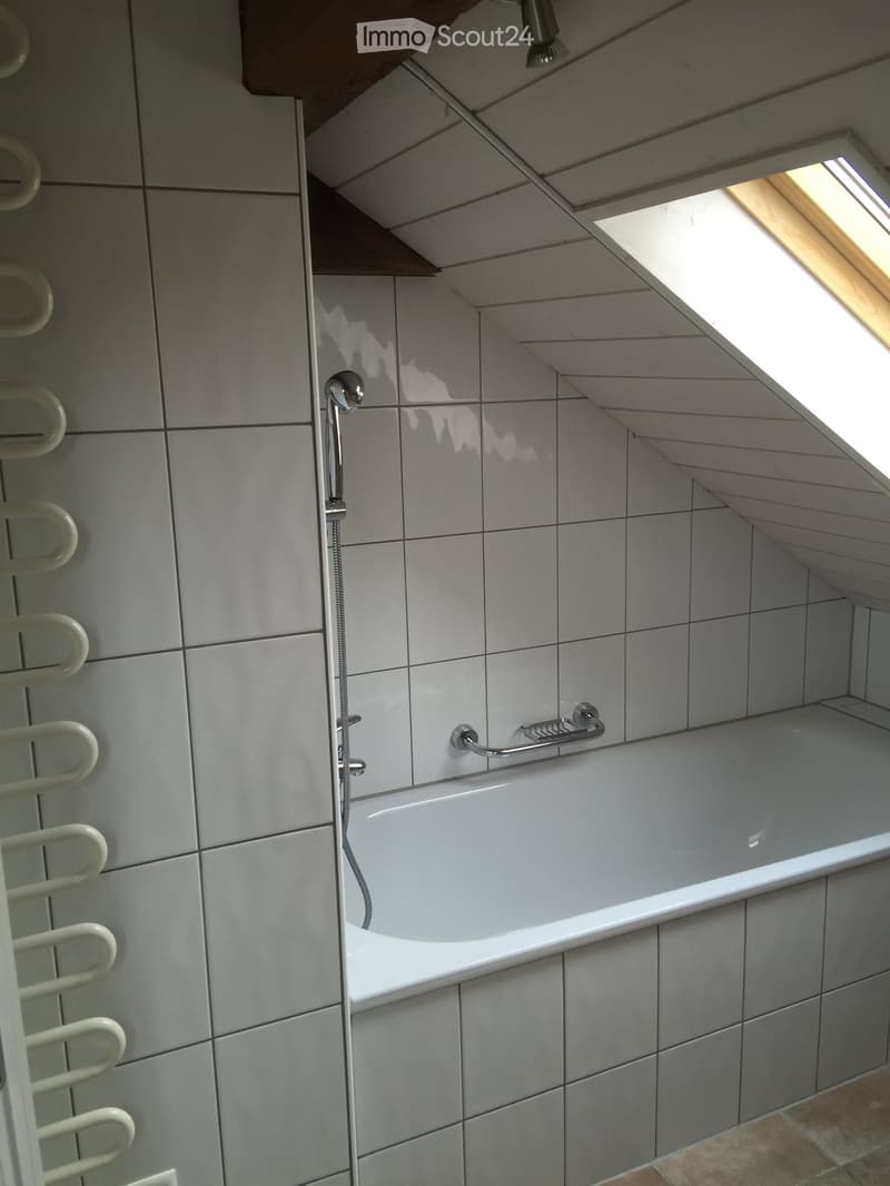 Modern bathroom with a bathtub, handheld showerhead, handrail, and a radiator. The walls are tiled in grey, and there is a skylight window above the bathtub.