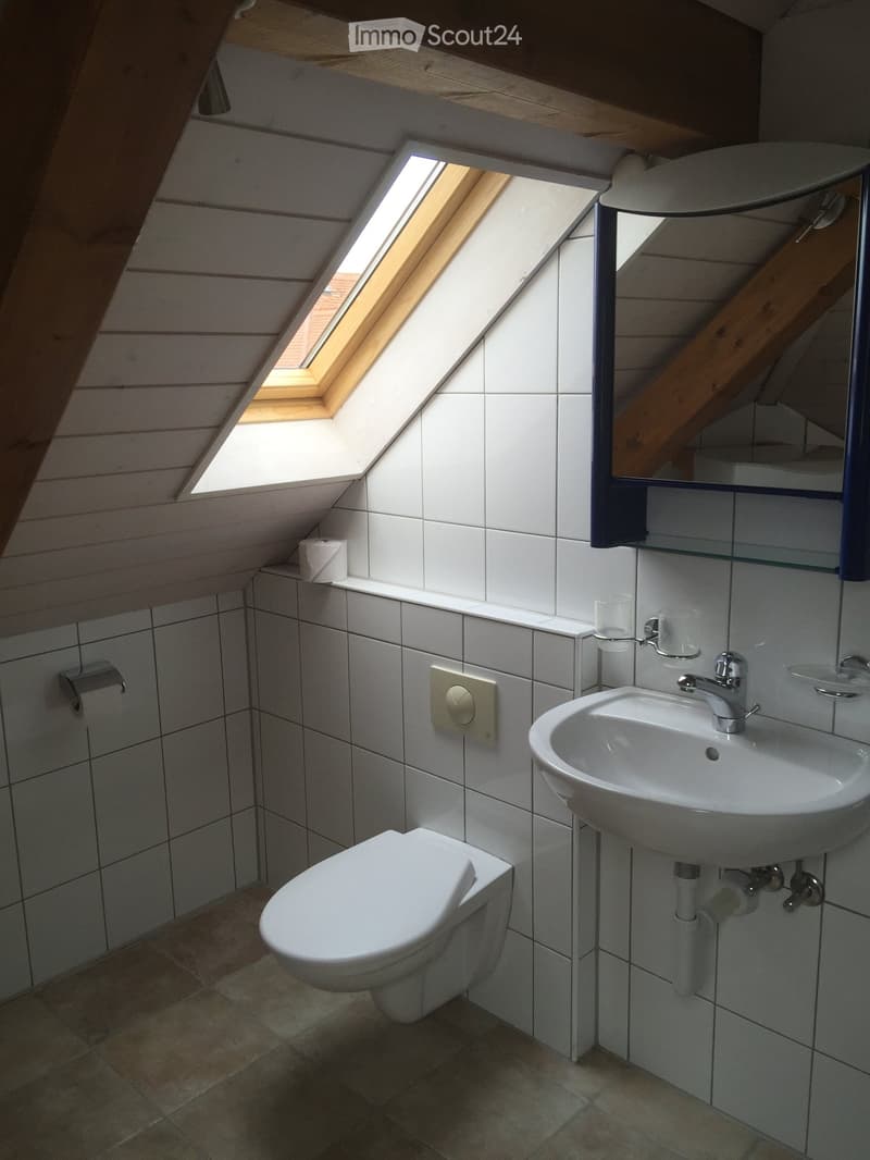 Modern bathroom with white tiles, a toilet, a sink with a mirror, and a skylight window providing natural light.