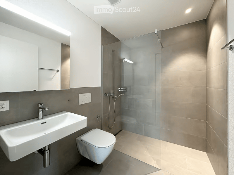 Modern bathroom with a white sink, toilet, glass-enclosed shower, and built-in cabinet.