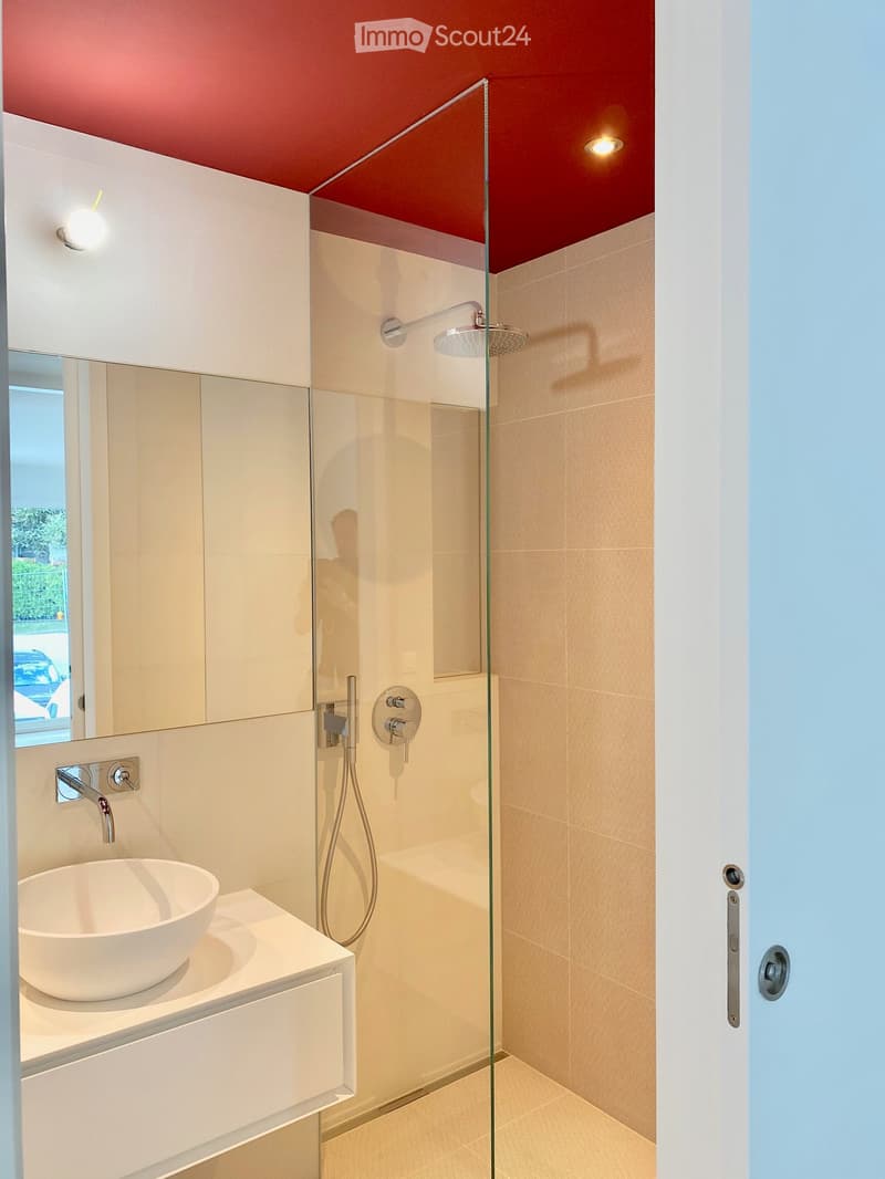 Modern bathroom with a white sink, glass shower enclosure, and sleek fixtures.