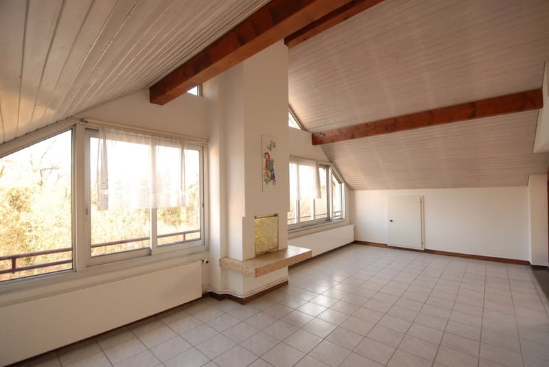 Spacious 4½-room attic apartment with winter garden & fireplace in Reinach (4)