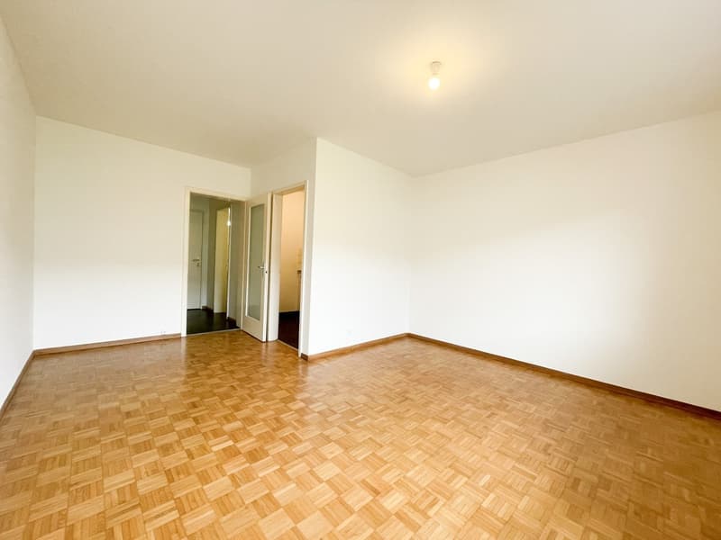 Simple 1-room apartment in Gundeli (4)