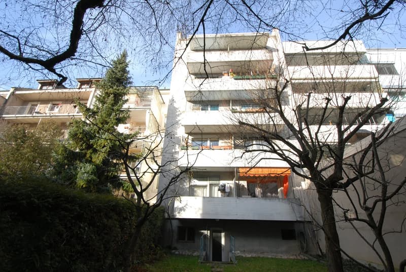 Simple 1-room apartment in Gundeli (2)