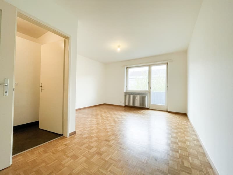 Simple 1-room apartment in Gundeli (3)