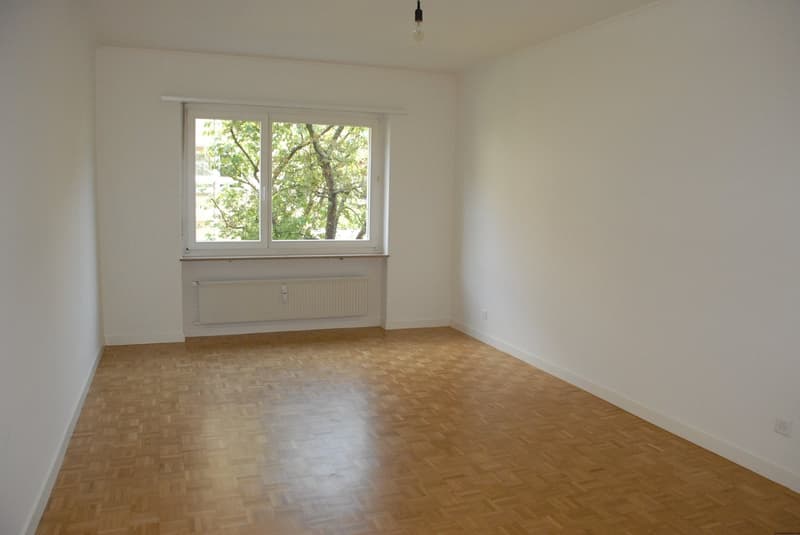 Ampio appartamento 3½ locali vicino al centro città, ristrutturazione moderna. (3)
