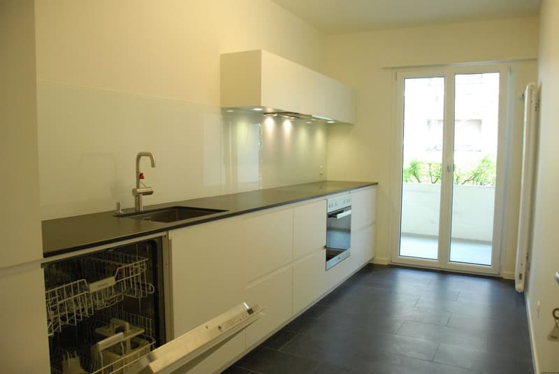 Ampio appartamento 3½ locali vicino al centro città, ristrutturazione moderna. (4)