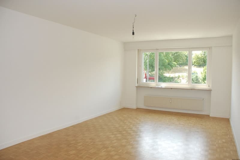 Ampio appartamento 3½ locali vicino al centro città, ristrutturazione moderna. (2)