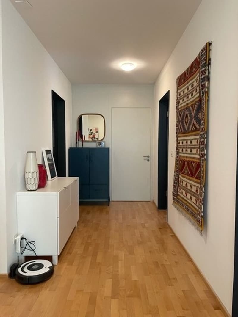 Abitazione lussuosa vicino ad Aeschenplatz (7)