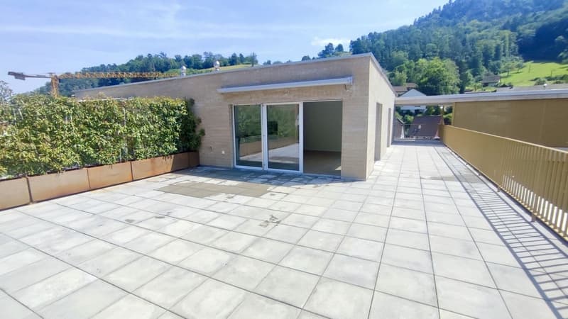 Appartement attique moderne 2.5 pièces avec terrasse spacieuse à Waldenburg (2)