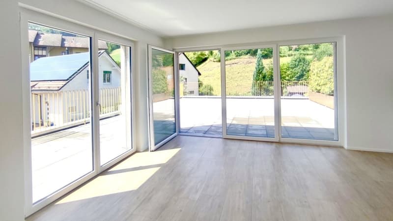 Appartement attique moderne 2.5 pièces avec terrasse spacieuse à Waldenburg (3)