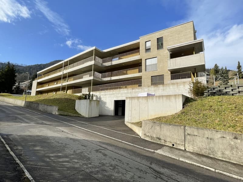 Appartement attique moderne 2.5 pièces avec terrasse spacieuse à Waldenburg (1)