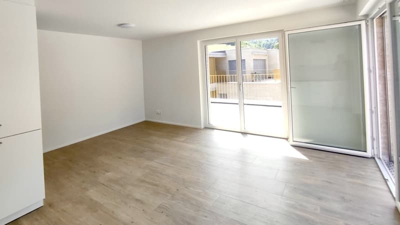Appartement attique moderne 2.5 pièces avec terrasse spacieuse à Waldenburg (4)
