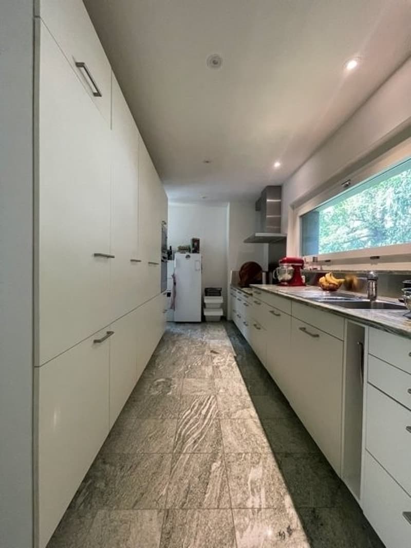 Abitare lussoso vicino ad Aeschenplatz (8)
