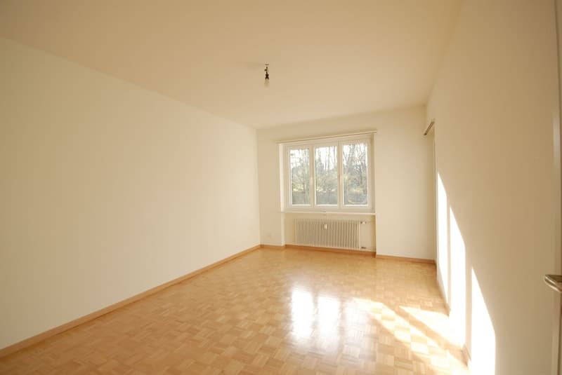 Bello appartamento di 2 camere nel quartiere di Lehenmatt (6)