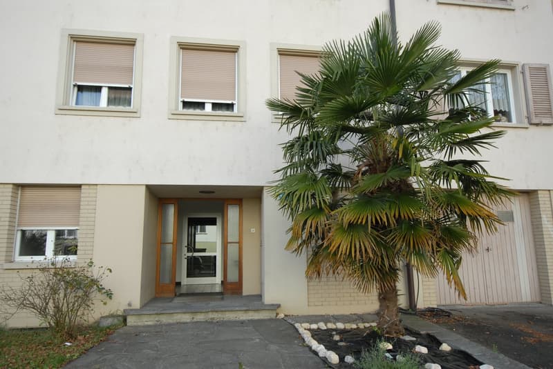 Bello appartamento di 2 camere nel quartiere di Lehenmatt (1)