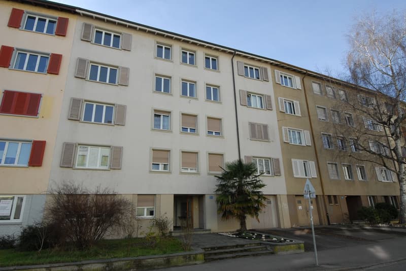 Joli appartement 2 pièces dans le quartier de Lehenmatt (2)