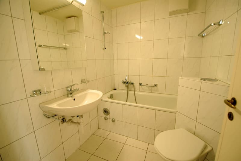 Joli appartement 2 pièces dans le quartier de Lehenmatt (7)