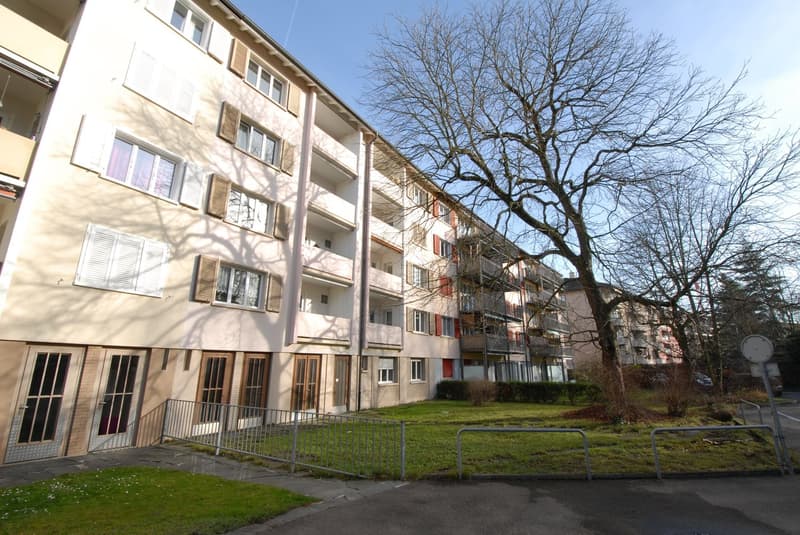 Joli appartement 2 pièces dans le quartier de Lehenmatt (3)
