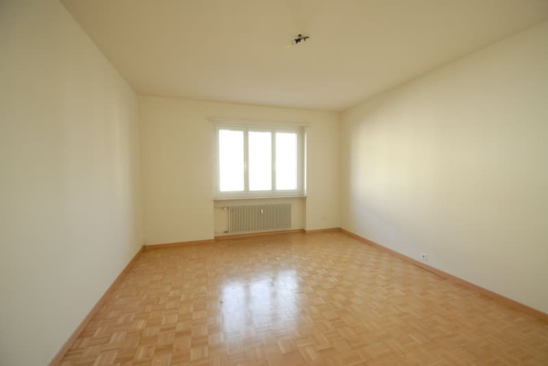 Joli appartement 2 pièces dans le quartier de Lehenmatt (4)