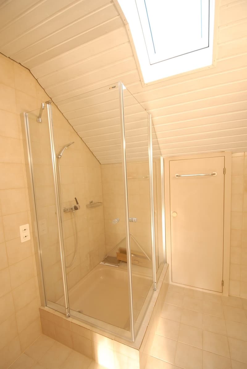Appartement spacieux 4½-pièces avec jardin d'hiver et cheminée à Reinach (8)