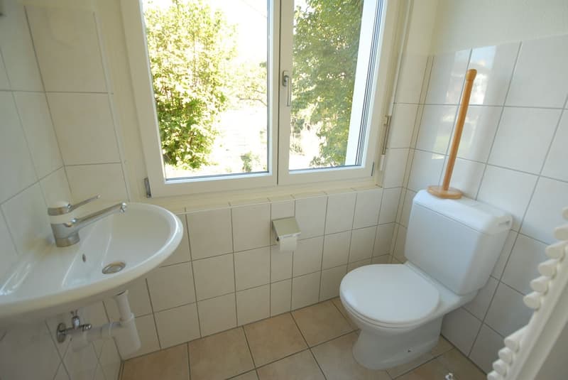 Grande casa unifamiliare indipendente in una posizione tranquilla (2)