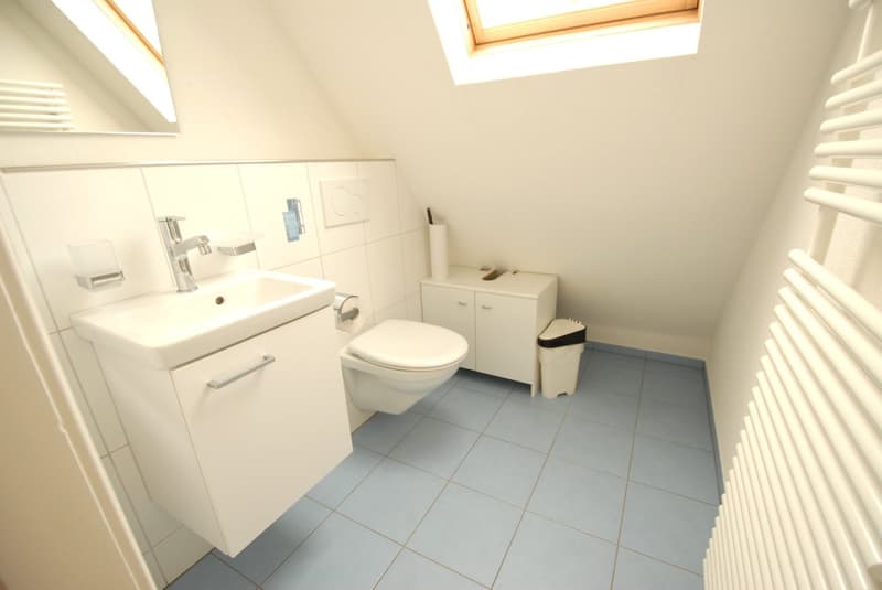 Charmantes Einfamilienhaus mit Garten, Chalet & viel Platz in Reinach BL (11)