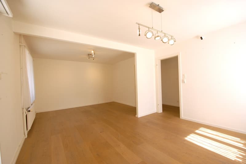 Charmantes Einfamilienhaus mit Garten, Chalet & viel Platz in Reinach BL (8)