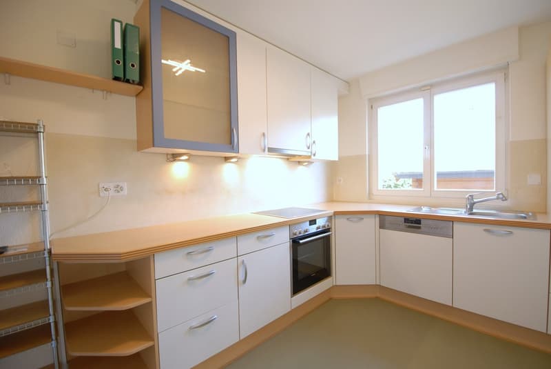 Charmantes Einfamilienhaus mit Garten, Chalet & viel Platz in Reinach BL (5)