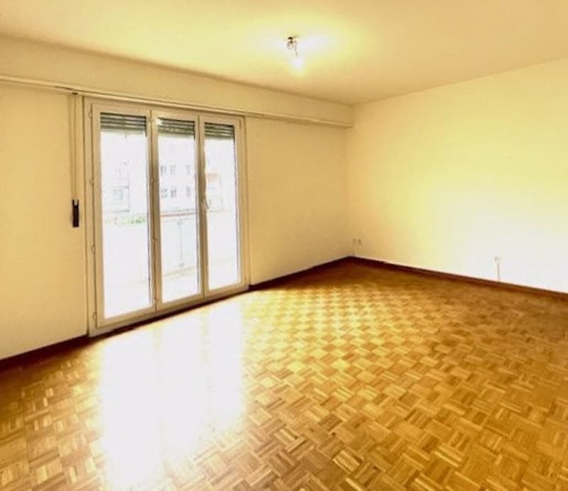 1-Z'Whg mit grossem Balkon im Kleinbasel (4)