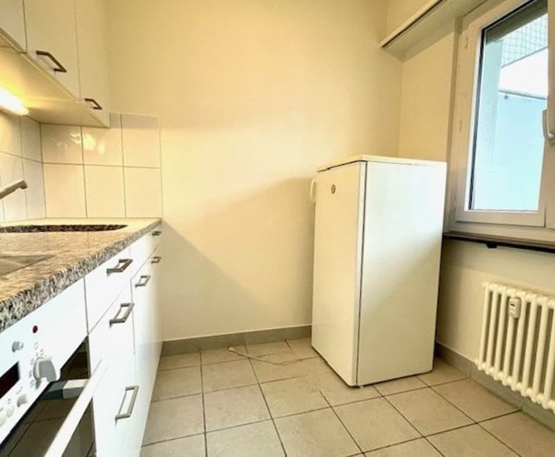1-Z'Whg mit grossem Balkon im Kleinbasel (3)