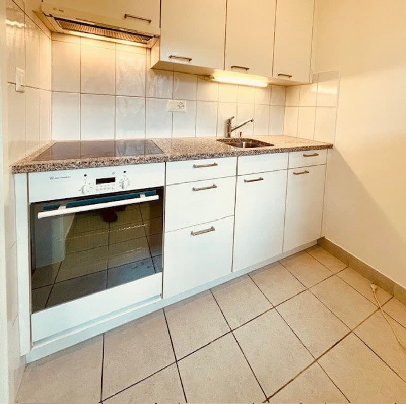 1-Z'Whg mit grossem Balkon im Kleinbasel (2)