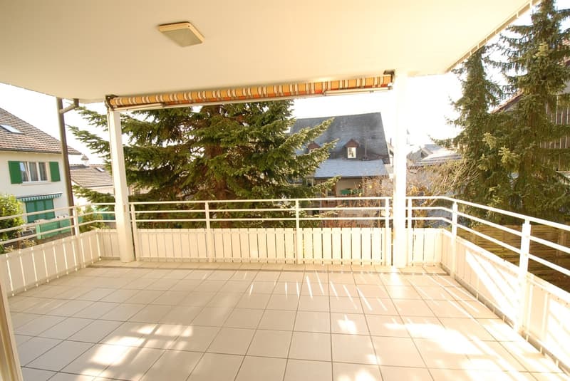 An sonniger, ruhiger Lage beim Dorfkern Oberwil (4)