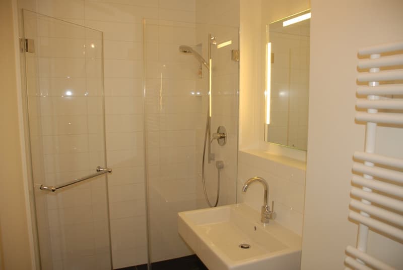 Modern 2-room apartment in the center of Basel (10)