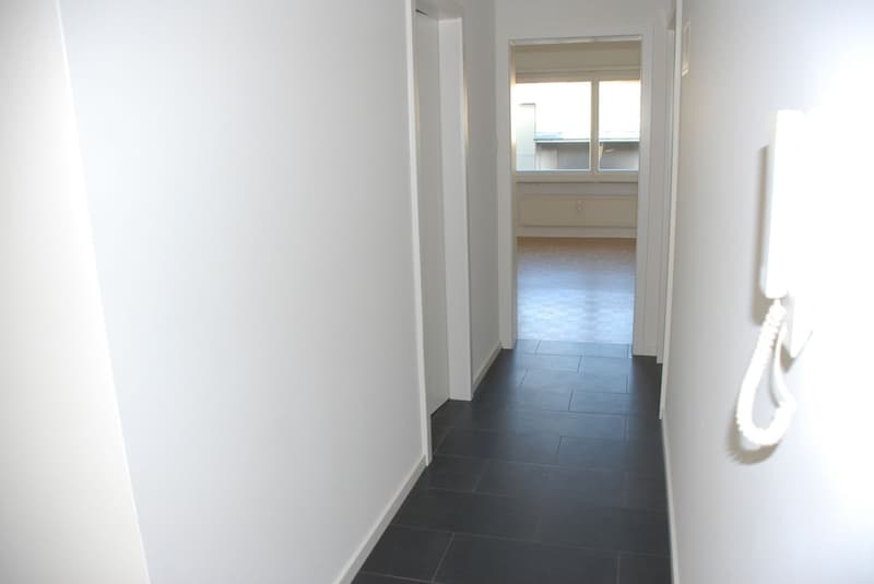 Modern 2-room apartment in the center of Basel (9)