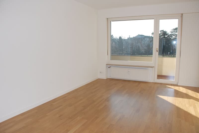 Modern 2-room apartment in the center of Basel (2)