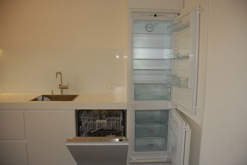 Modern 2-room apartment in the center of Basel (4)