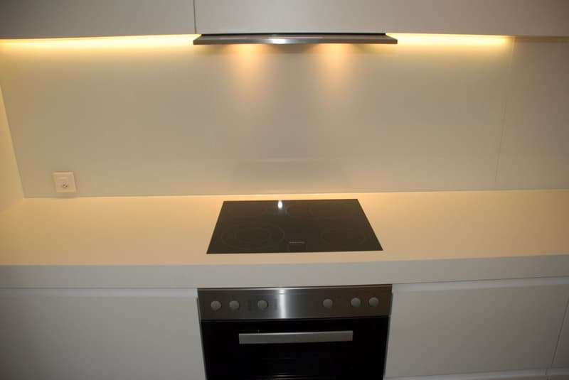 Modern 2-room apartment in the center of Basel (5)