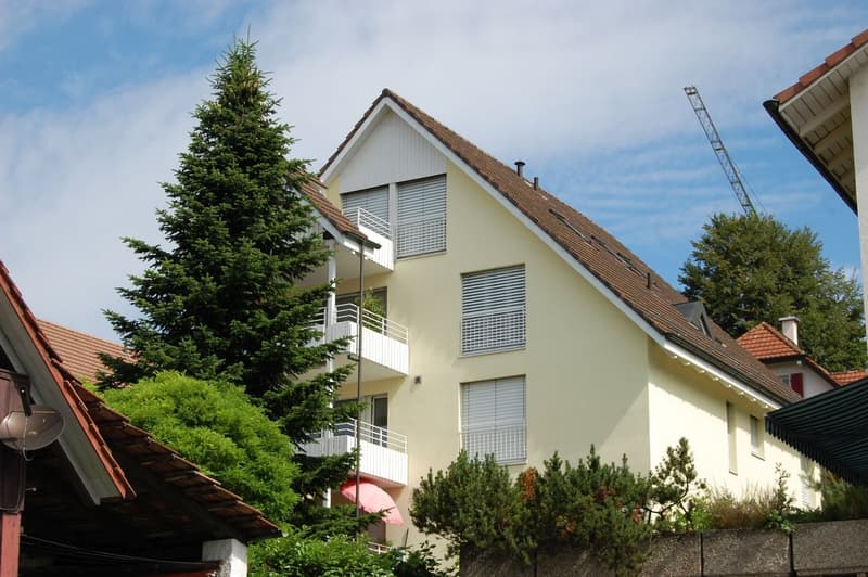 Dans un emplacement ensoleillé, calme près du centre du village d'Oberwil (1)