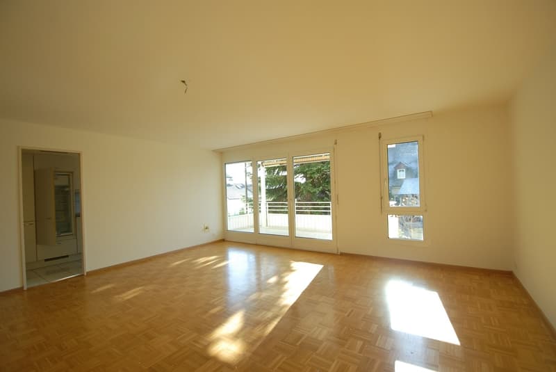 Dans un emplacement ensoleillé, calme près du centre du village d'Oberwil (6)