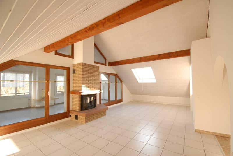 Grosszügige 4½-Zimmer-Dachwohnung mit Wintergarten & Cheminée in Reinach (1)