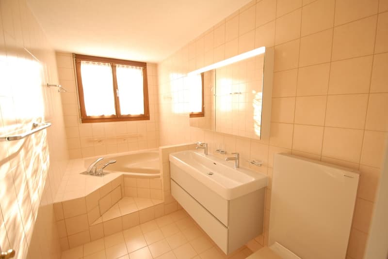 Grosszügige 4½-Zimmer-Dachwohnung mit Wintergarten & Cheminée in Reinach (6)