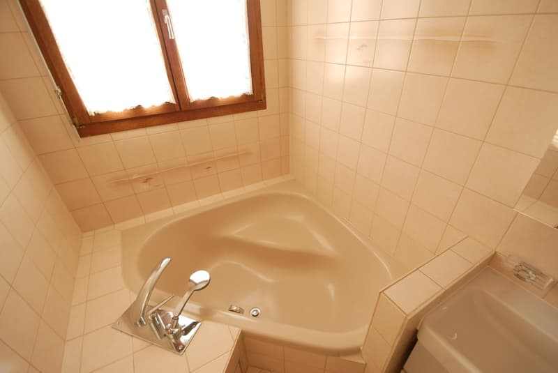 Grosszügige 4½-Zimmer-Dachwohnung mit Wintergarten & Cheminée in Reinach (7)