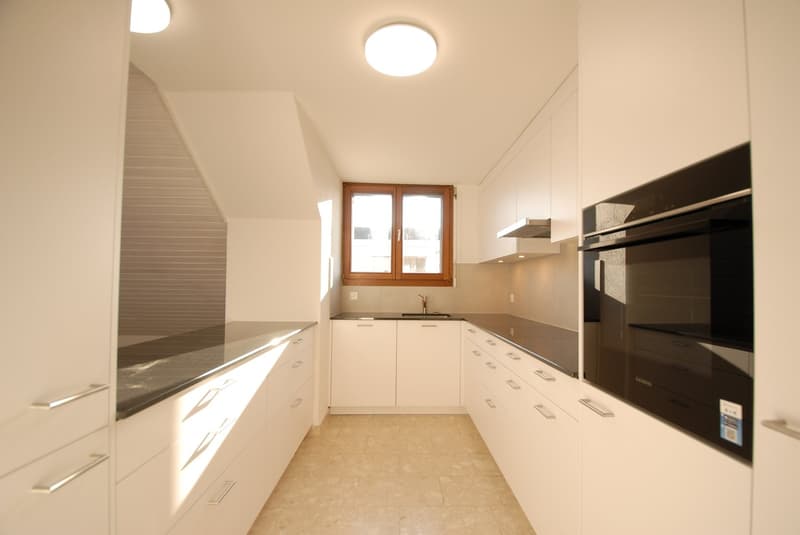 Grosszügige 4½-Zimmer-Dachwohnung mit Wintergarten & Cheminée in Reinach (2)