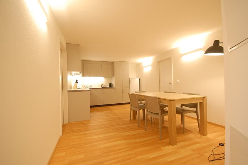 Möbliertes Studio nahe Universität und Biozentrum (8)