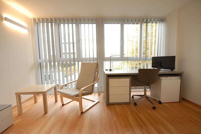 Möbliertes Studio nahe Universität und Biozentrum (3)