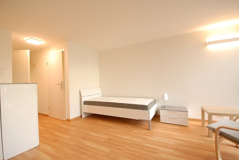 Möbliertes Studio nahe Universität und Biozentrum (4)