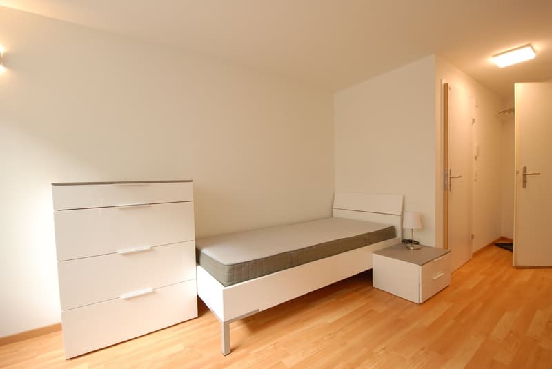Möbliertes Studio nahe Universität und Biozentrum (2)