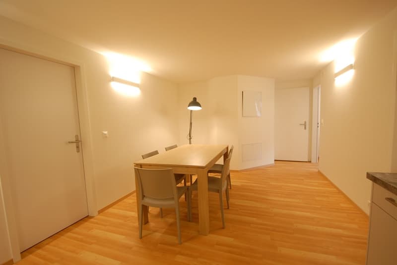 Möbliertes Studio nahe Universität und Biozentrum (10)