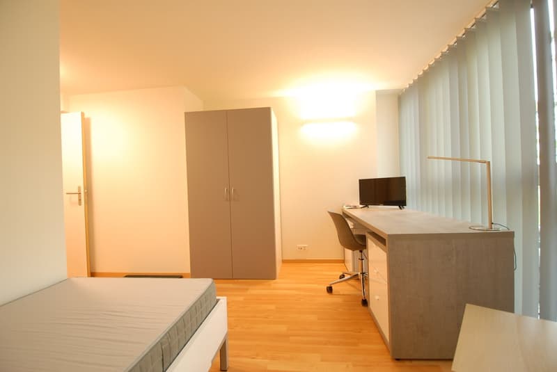 Möbliertes Studio nahe Universität und Biozentrum (7)