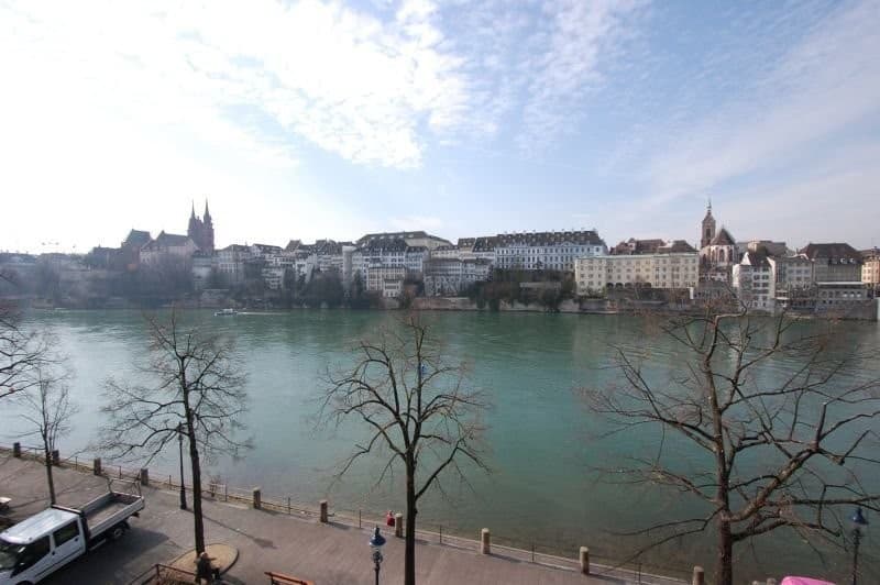 Traumhafte Wohnung mit Chemineé direkt am Rhein (1)
